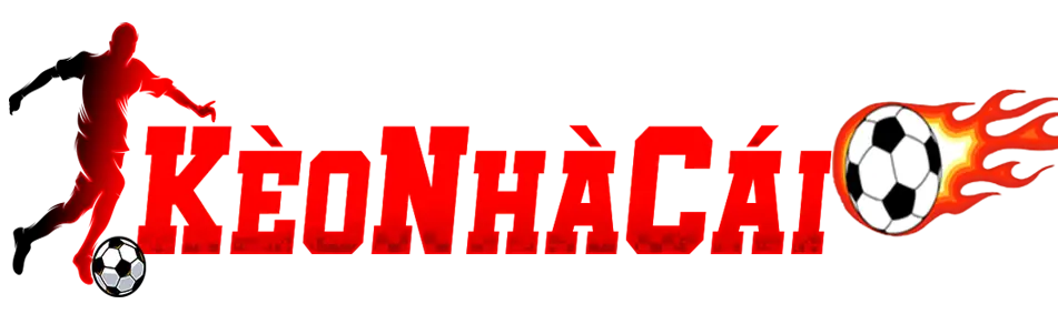 newseo